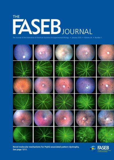 fsb2.v34.1.cover